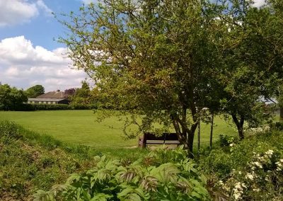 Playing field from the corner by the BMX track, by Alison Biddle