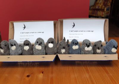 A flock of Swift egg cosies at Harbury Carnival